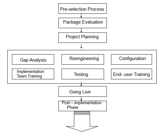 Erp Implementation Life Cycle Diagram - Bank2home.com