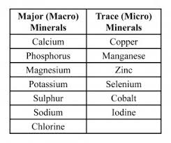 essential macro minerals